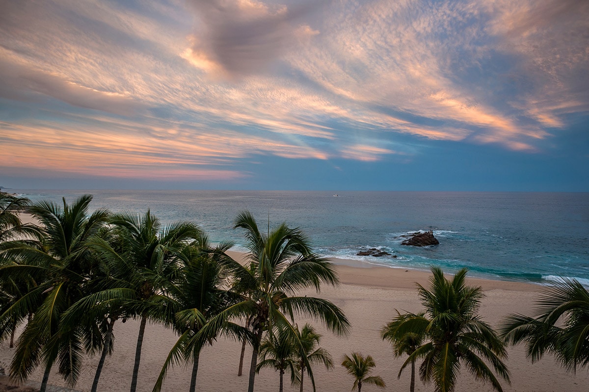 Villa Paraiso Cabo oceanfront palm trees and sky view