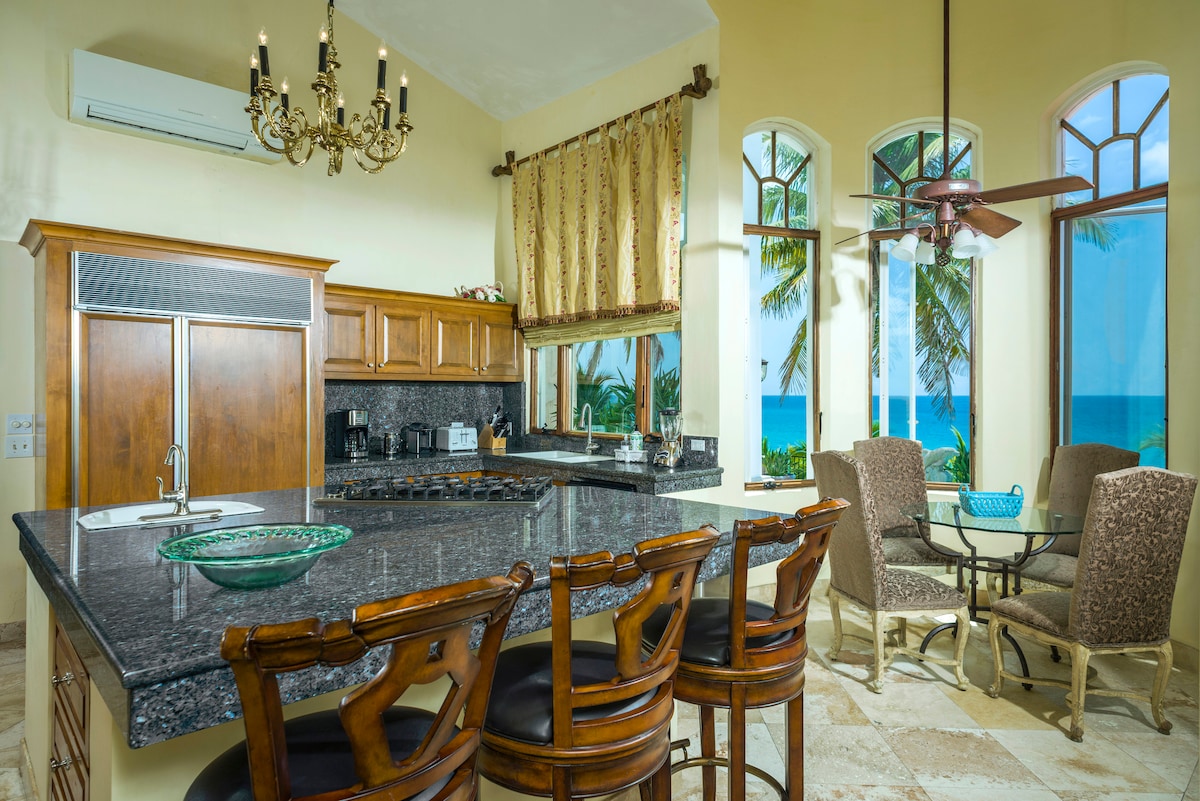 Gourmet kitchen